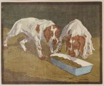 Walther Klemm- zwei junge Münsterländer