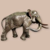 Asiatische Elefantenkuh