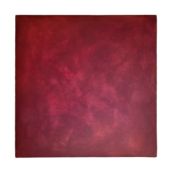 Gotthard Graubner, Ianaa Nova Tricesima