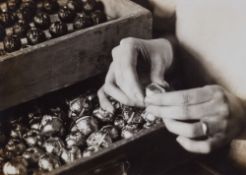 Hans Finsler, Ohne Titel (Werbeaufnahmen für MOST Schokolade)