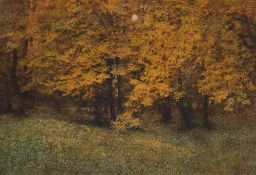 Hans Watzek, Ohne Titel (Waldstück)