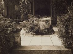 Albert Renger-Patzsch, Parklandschaft, Hamburg Blankenese