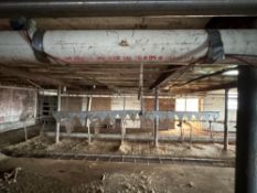 57 S.S. Cow Trainers