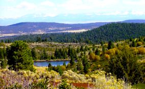 1+ Acres to Build Your Northern California Getaway!