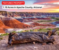 Over an Acre in Apache County, Arizona!