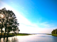 1+ Acre Surrounded by Florida Lakes!