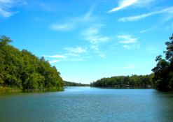 Build Near Spring Lake in Ozark Acres, Arkansas!