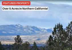 5.45 Acres in Stunning Northern California!