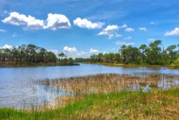 Harbour Heights, Florida - Adjacent Lots Near the Peace River!