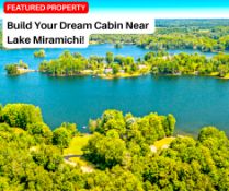 Osceola County, Michigan - Build Your Dream Cabin Near Lake Miramichi!