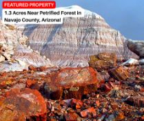 1.3 Acres Near Petrified Forest in Navajo County, Arizona!