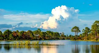 Outdoor Adventures in Rapidly Growing Charlotte County, Florida!