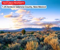 Invest in Over an Acre in New Mexico!