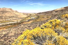 Build on Almost Five Acres in Lander County, Nevada!