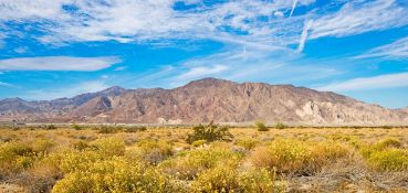Rare California Opportunity: 10 Acres of Preserved Land!
