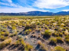 Claim Ten Acres in Nevada's Stunning High Desert!