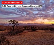 Make the California Dream Yours in LA County!