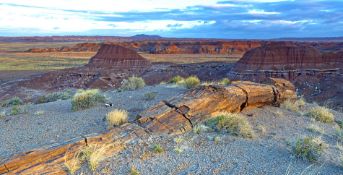 1.3 Acres near Holbrook in Navajo County, Arizona!