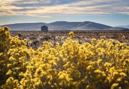 Own Land in Iconic Los Angeles County, CA!