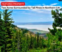 Two Acres Surrounded by Tall Pines in Northern California!