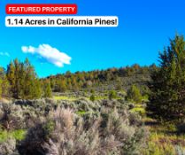 Your Peaceful Retreat Awaits on this Corner Lot in Modoc County, California!