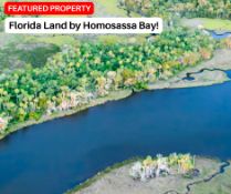 Florida Land by Homosassa Bay!