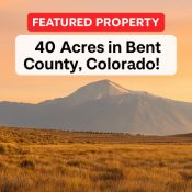 Invest in 40 Acres of Southern Colorado Land!