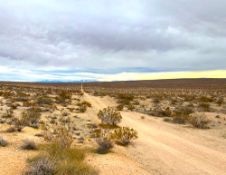 Own Over Five Acres in California!