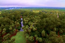 2.50 Acres in Polk County: Fastest Growth in Florida!
