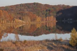 Own Land About 10 Miles from the Lake Michigan Shoreline, Allegan County, Michigan!