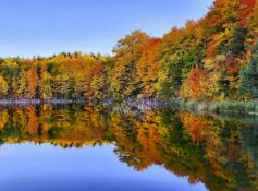 Build in Michigan & Embrace Each Season by the Lake!