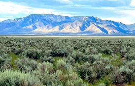 Grow with New Mexico's Expanding Future!