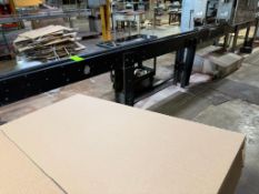 41 Ft. Corrosion Resistant Slat Conveyor