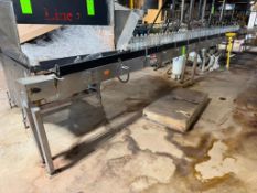 25 Ft. Slat Conveyor