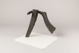 Fillitz, Stephan (*1950)