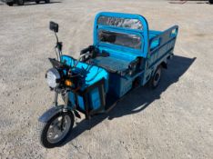 IRET13 ELECTRIC TRICYCLE