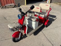 HIGH END MINI GOLF CART