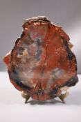 PETRIFIED WOOD