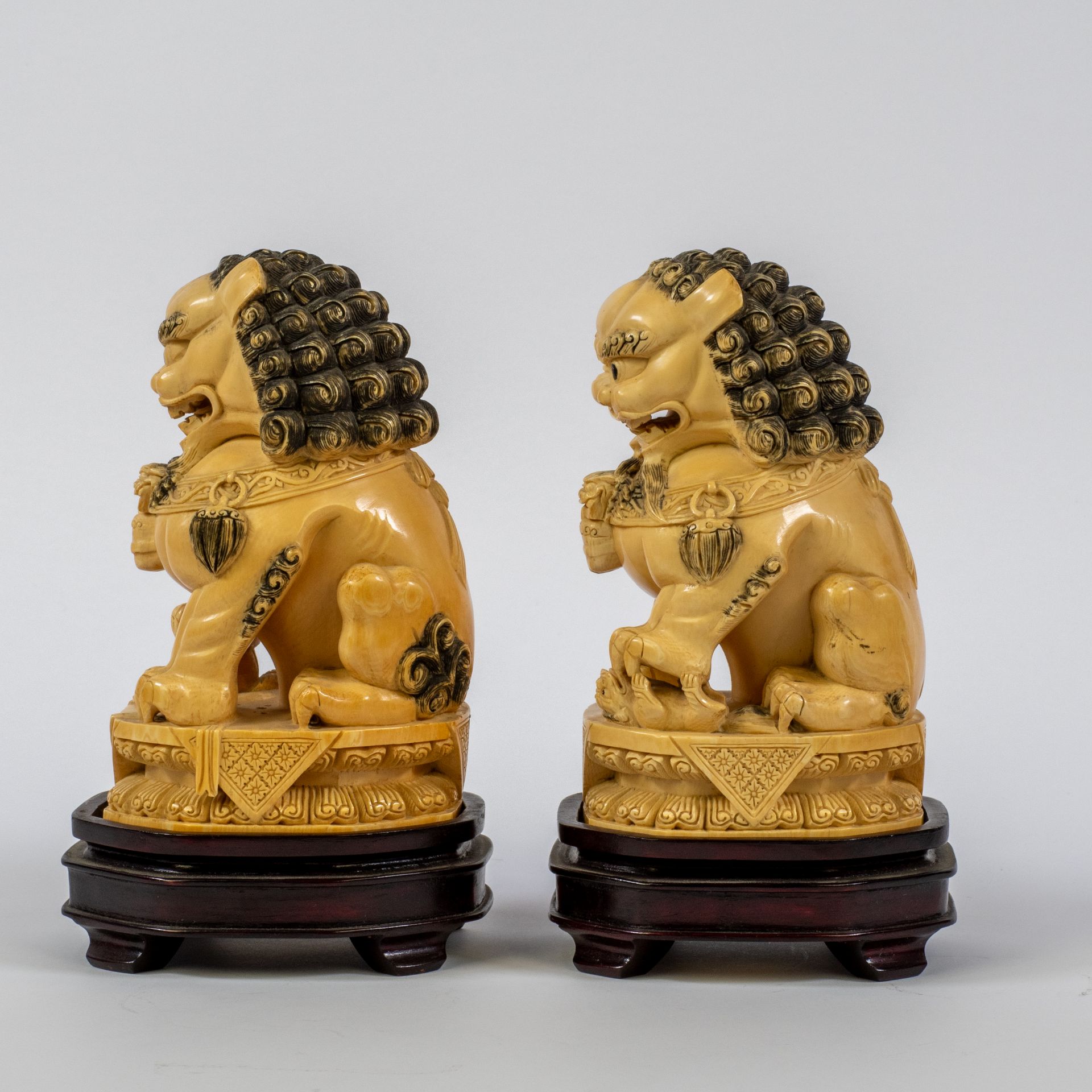 A pair of ivory Temple lions known as 'Foo dogs'or 'Foo Lions', honey yellow patina and fine curly h - Bild 2 aus 7