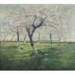 Raoul PHARASYN (1908-1991), oil on canvas Blossoming orchard, signed