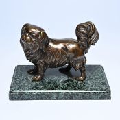 A 19th century Japanese bronze of a Pekingese dog on a marble base, in the manner of Maruki, Meije p