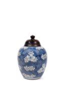 A BLUE AND WHITE PORCELAIN OVOID JAR, China, Qing dynasty, Kangxi period (1661-1722)