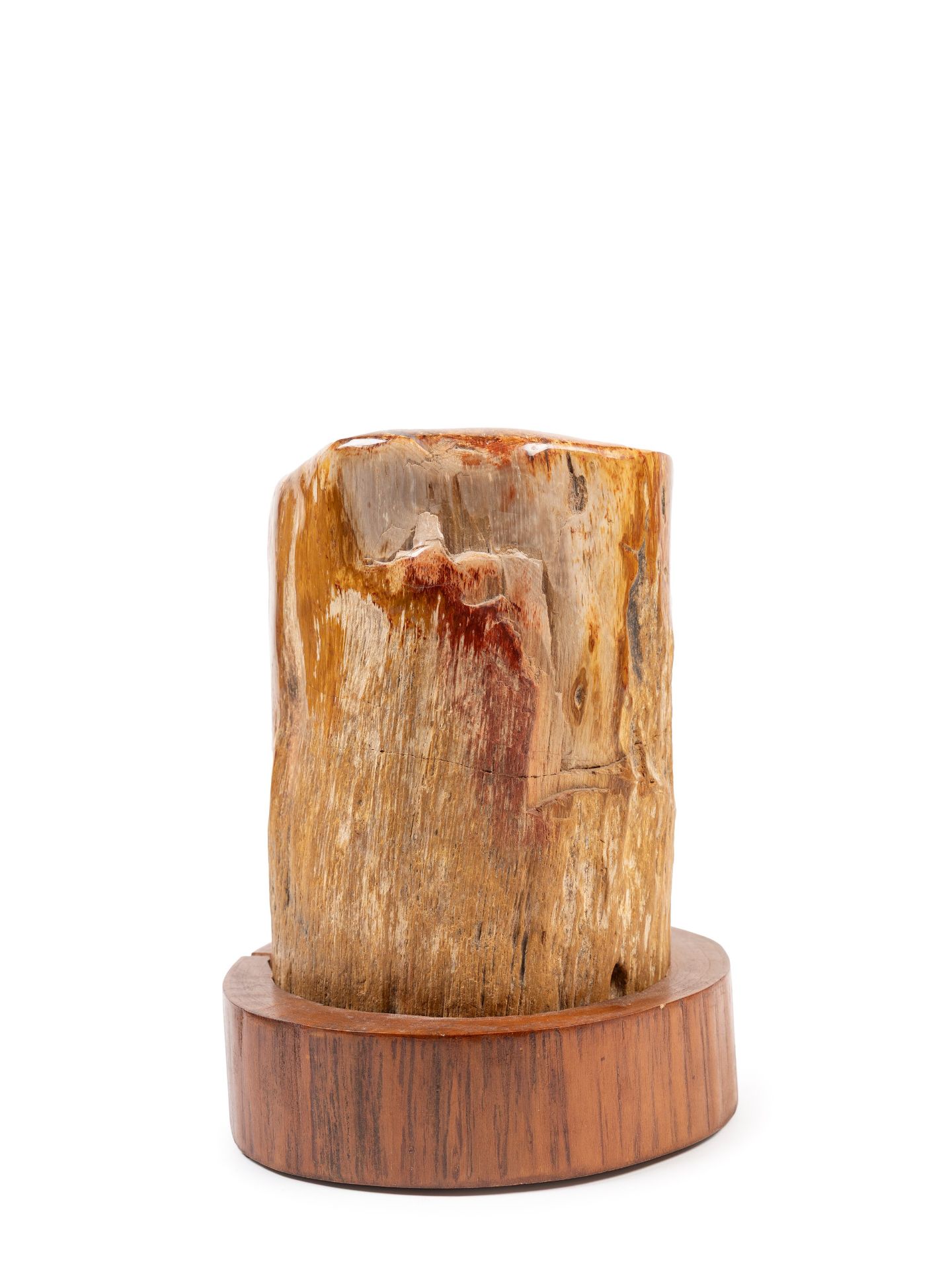 FOSSILIZED TRUNK, - Bild 2 aus 2