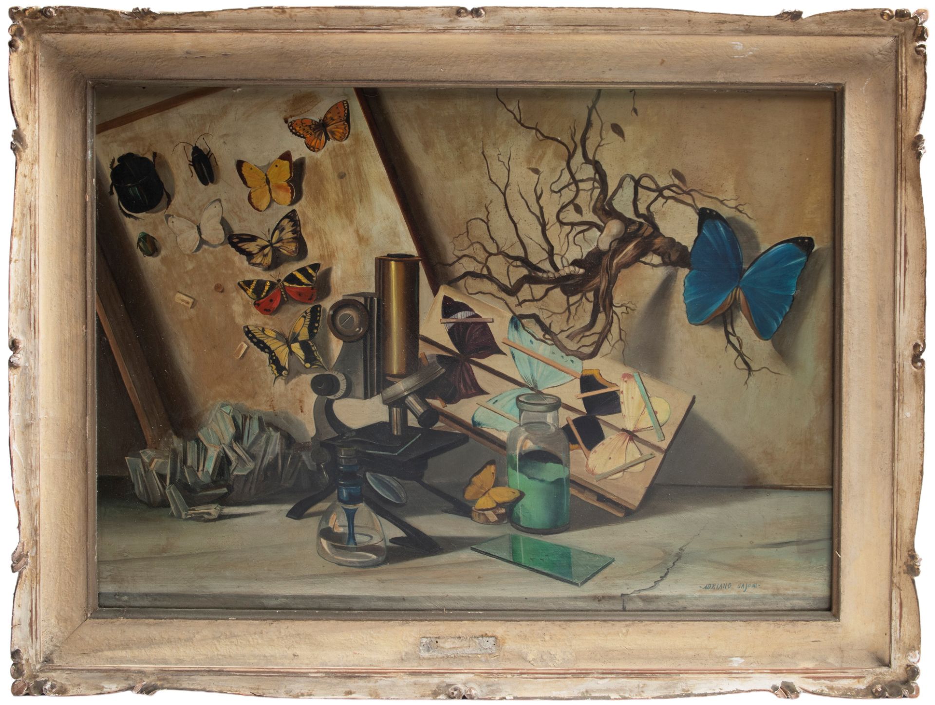 NATURA MORTA CON FARFALLE,