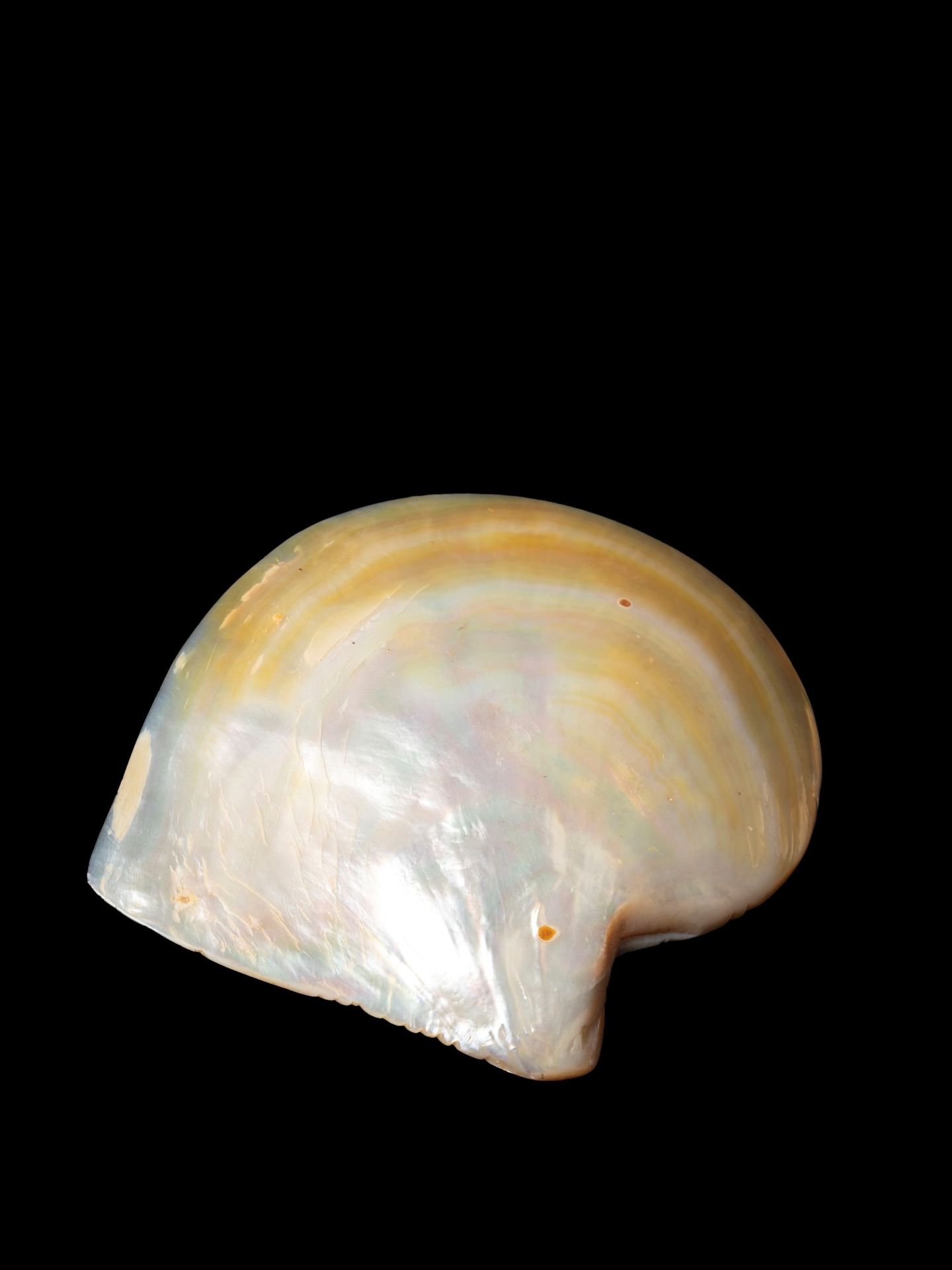 A MOTHER OF PEARL SHELL, China, Canton, 18th / 19th century - Bild 2 aus 3