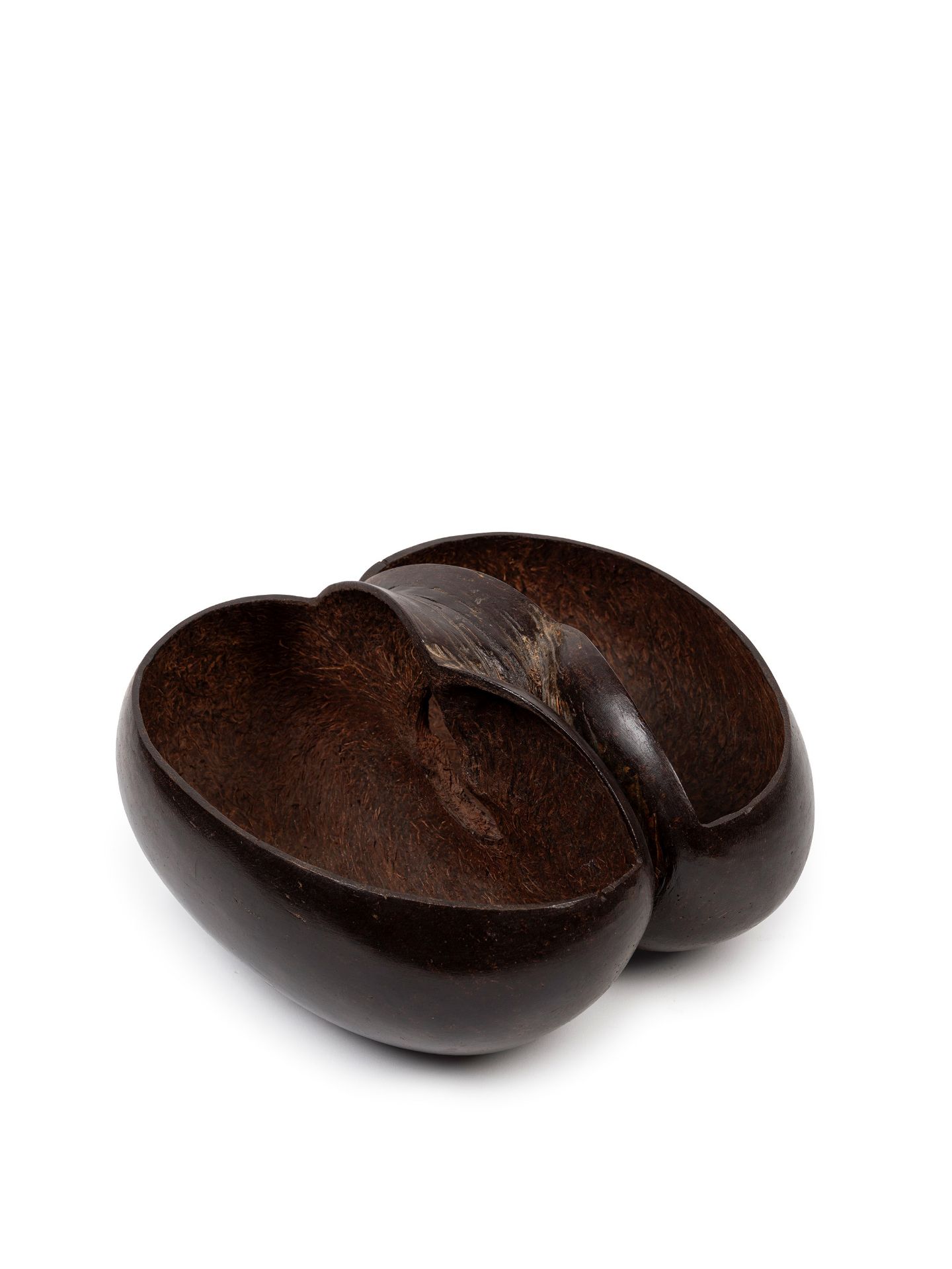 COCO DE MER, Seychelles, 19th / 20th century