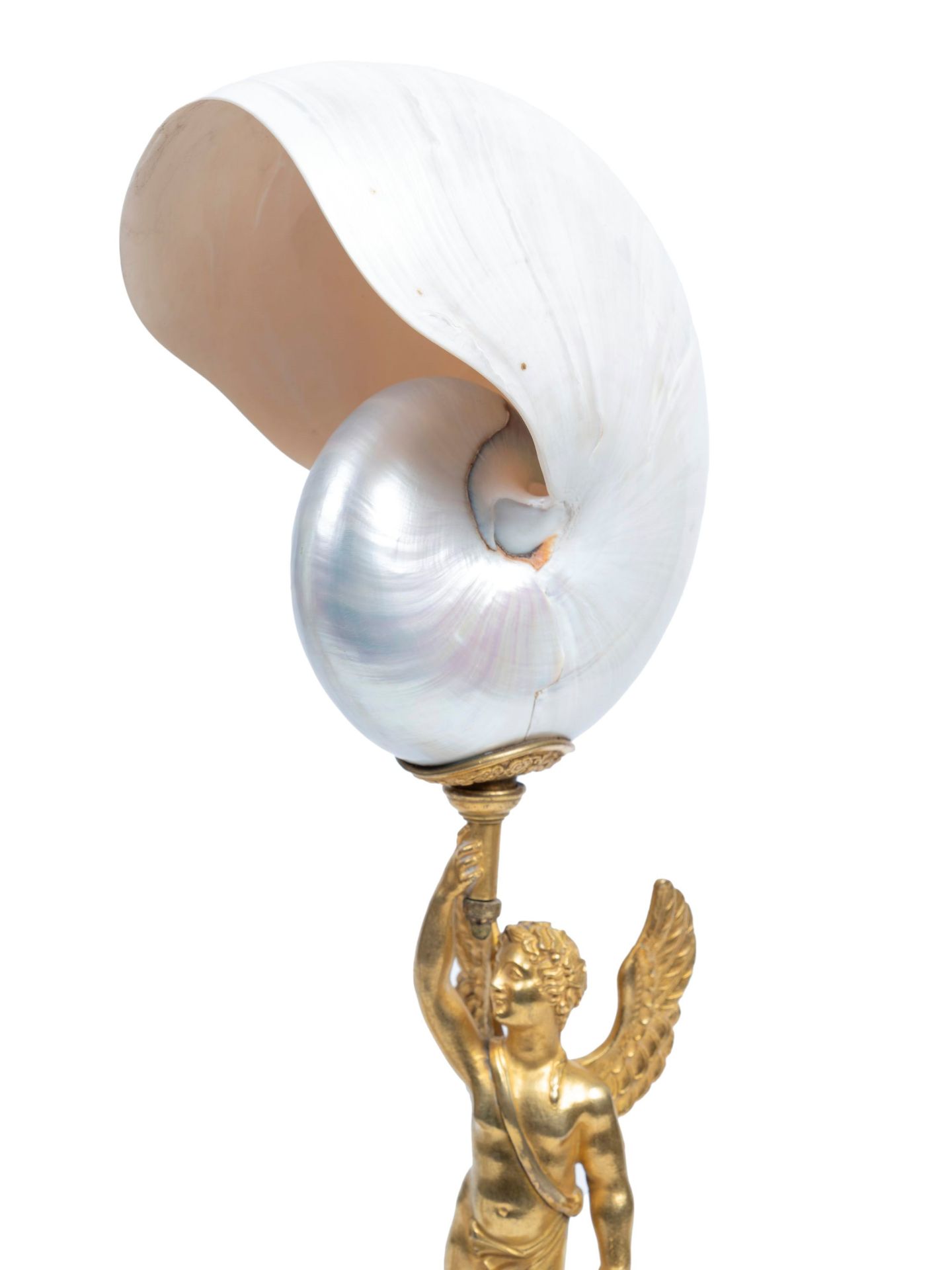 PAIR OF NAUTILUS SHELLS MOUNTED IN GILT BRONZE, 19th century - Bild 3 aus 3