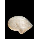 A MOTHER OF PEARL SHELL, China, Canton, 18th / 19th century