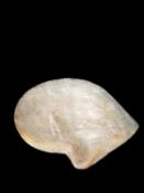 A MOTHER OF PEARL SHELL, China, Canton, 18th / 19th century