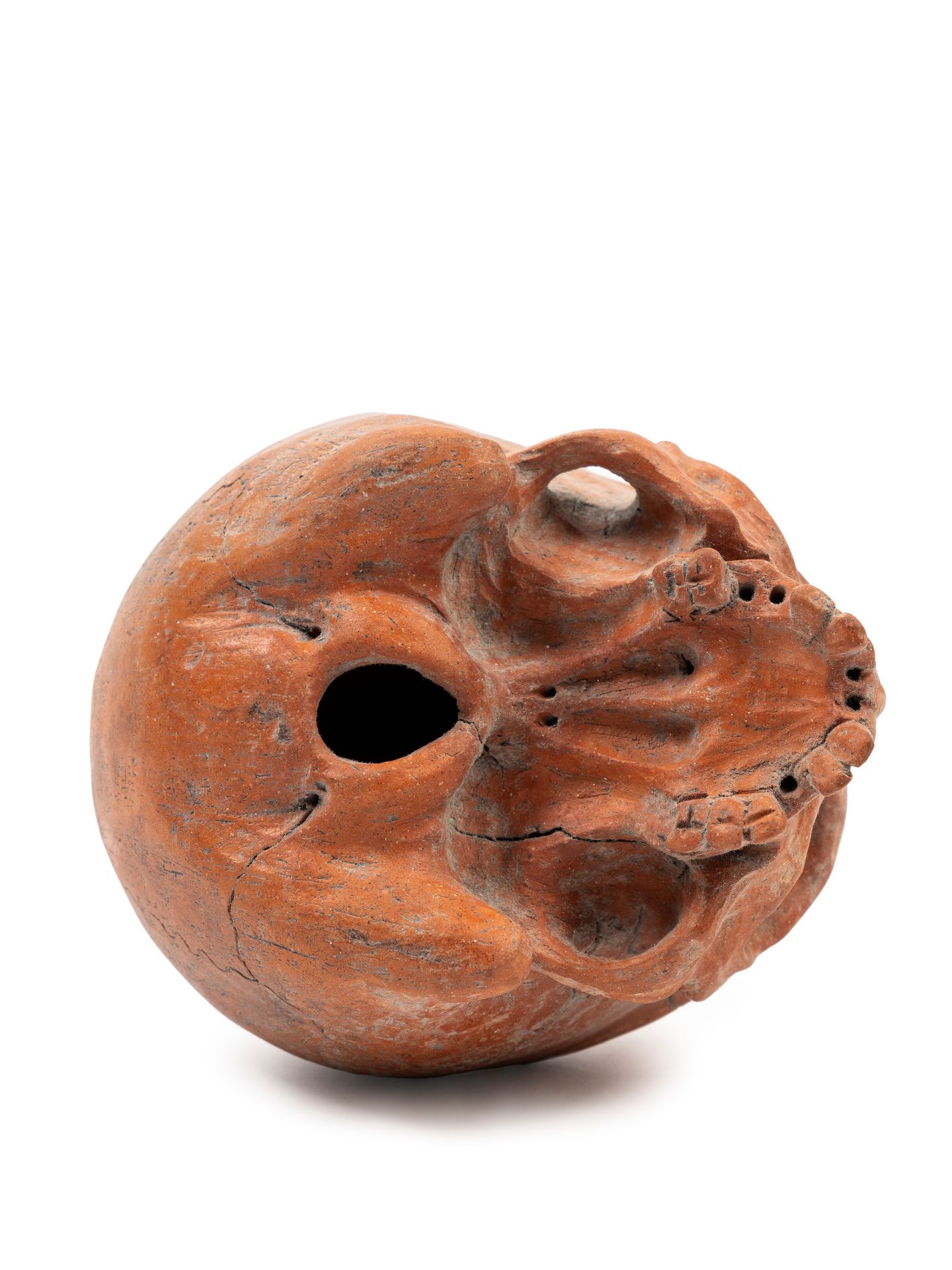 TERRACOTTA SKULL, - Bild 4 aus 4